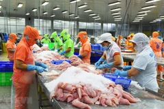 Seafood exports reach record 11 billion USD in 2022, challenges ahead