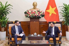 Vietnamese FM suggests expanding cooperation in areas of UK’s strength