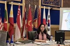 Vietnam nominates candidate as WHO Regional Director for the Western Pacific