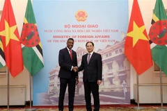 Vietnamese, Dominican foreign ministers hold talks
