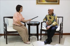 Vietnam gains major successes thanks to ‘bamboo diplomacy’: Indonesian researcher