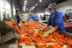 Vietnam expects more markets to open to farm produce in 2023