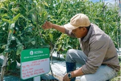 VinaCapital Ventures pours 1 million USD into agritech startup