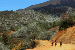 Son La holds potential to be world's top natural destination