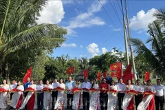 Project helps raise patriotism among public in Bac Lieu