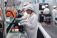 Workshop discusses activities supporting innovation, startups