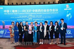 Vietnam attends traditional medicine cooperation conference in China