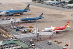 Leaders of aviation firms to be disciplined if employees committed wrongdoings