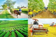 More special mechanisms proposed to speed up national target programmes