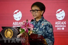 Indonesia calls for efforts to maintain Indo-Pacific region's stability