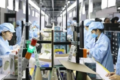 ADB Country Director points to three main growth drivers of Vietnam's economy in 2024