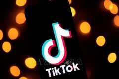 Ministry plans inspection of TikTok in May