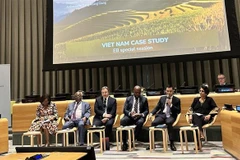 UNDP one of Vietnam's most important partners on development path: ambassador