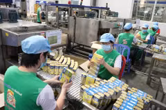 Nearly 5,800 new enterprises established in Binh Duong in 10 months