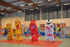 Vietnam promotes lion-dragon dance to the world