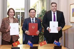 Considerable strides recorded in Vietnam-Australia ties: ambassador 