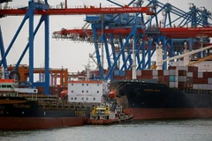 Indonesia plans to expand export markets to Africa