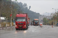 Border gates in Lang Son in full swing