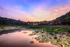 Two more typical tourism sites in Mekong Delta recognised