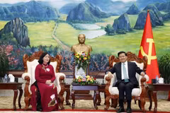 Vietnamese Party delegation visits Laos