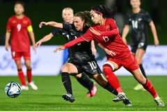 Vietnam must fix problems prior to World Cup