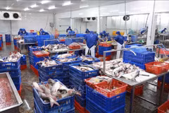 Banks asked to consider solving financial difficulties of fishery businesses
