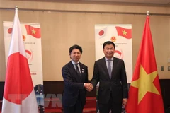 Vietnam Festival in Japan to be held in June 