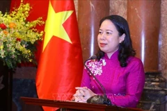 Vietnam - UAE cooperation to enter new development stage: ambassador