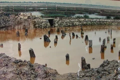 Bach Dang pile yard added to dossier seeking UNESCO recognition for Yen Tu complex
