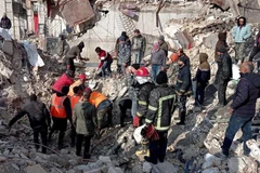 Citizen protection measures ready to assist Vietnamese overseas