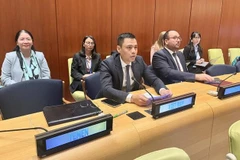 Vietnam backs multilateralism in solving global challenges: Ambassador