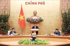 PM: Lunar New Year comes with new energy