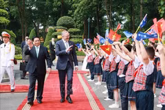 Australian expert hails Vietnam's bamboo diplomacy