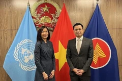 Countries see Vietnam as model in implementing SDGs: UN official