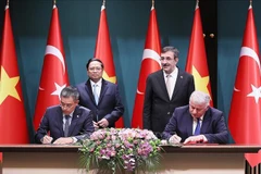 Vietnamese, Turkish national flag carriers cooperate on goods transport