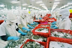 Vietnam's exports to US favourable: official