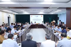 Workshop looks to promote oveaseas Vietnamese intellectuals' potential