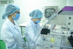 Vietnam helped with DNA-based identification of martyrs 