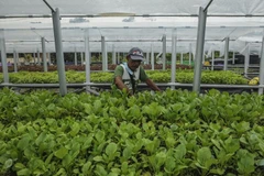 Malaysia implements high-growth, high-value initiative for agriculture