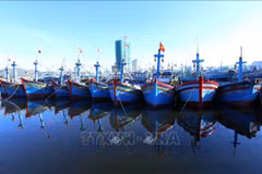 Binh Dinh province issues plan to fight IUU fishing 