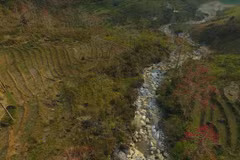 Ha Giang province ready to host first kapok flower festival