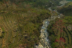 Ha Giang province ready to host first kapok flower festival