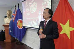 Overseas Vietnamese gather in Tet celebrations