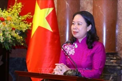 Vietnam, Mozambique see great potential for cooperation: Ambassador