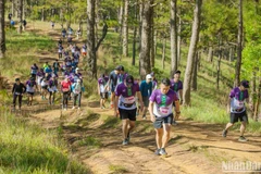 7,000 runners to join Dalat Ultra Trail 2023