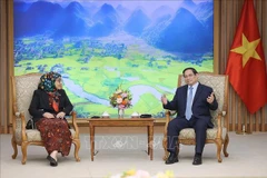 PM Pham Minh Chinh hosts Bruneian Ambassador