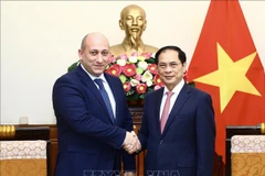 Vietnam treasures traditional friendship, cooperation with Georgia: FM