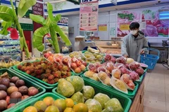 HCM City: purchasing power increases during National Day holiday