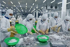 Shrimp summit 2023 seeks solutions to industry’s challenges