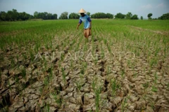 Indonesia government helps people cope with drought